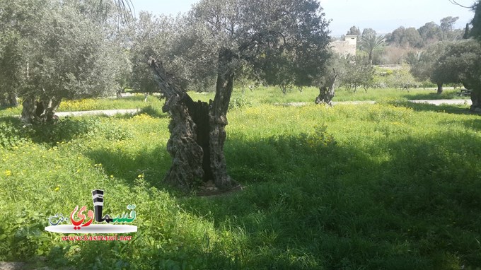 طلاب الثانوية الجديدة بالمحمية الطبيعية  الكردانة